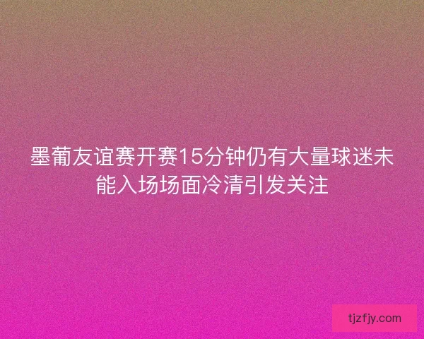 墨葡友谊赛开赛15分钟仍有大量球迷未能入场场面冷清引发关注