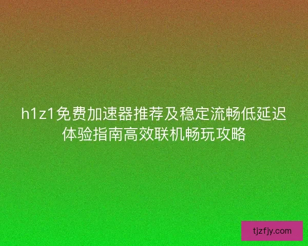 h1z1免费加速器推荐及稳定流畅低延迟体验指南高效联机畅玩攻略